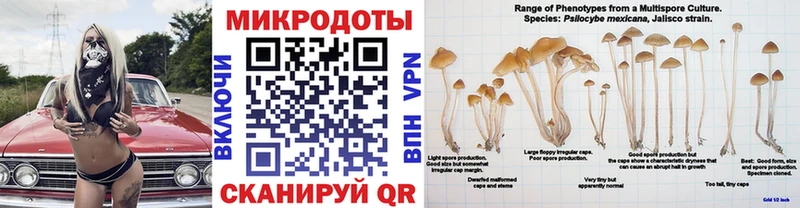 Галлюциногенные грибы мицелий  Окуловка 